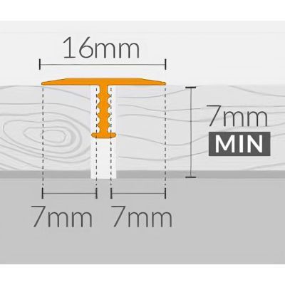 Profil trecere T16 W6-200