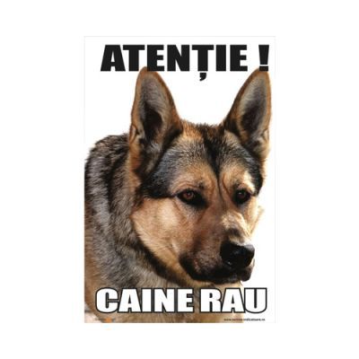 R0103 indicator caine PERICULOS/RAU 30x20