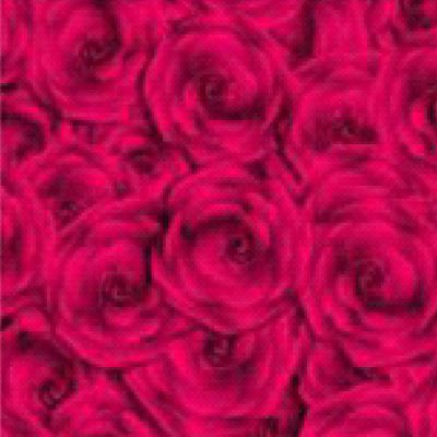 Runner microfibra roses sj-z19 0.66m