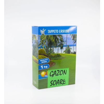 Seminte gazon soare 1kg