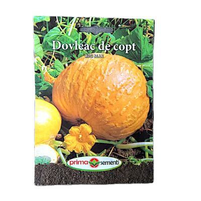 Plic dovleac de copt BIG MAX 388f3815
