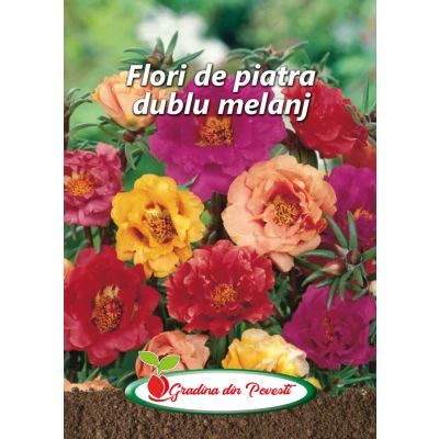 Plic GP flori de piatra 419f9108