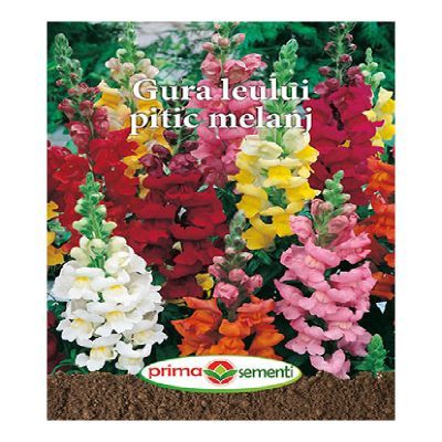 Plic GP gura LEULUI 438f9104