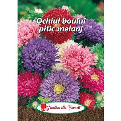 Plic GP OCHIUL BOULUI 418f9107