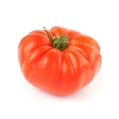 Plic GP Tomate MARMANDE 769f0710