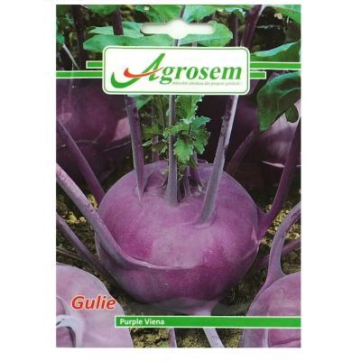 Plic GULIE VIOLET-5G 056f8112