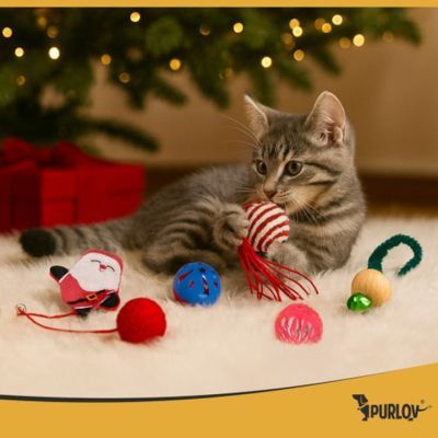 Set de jucarii pentru pisici Purlov 26380 Set de jucarii pentru pisici Purlov 26380