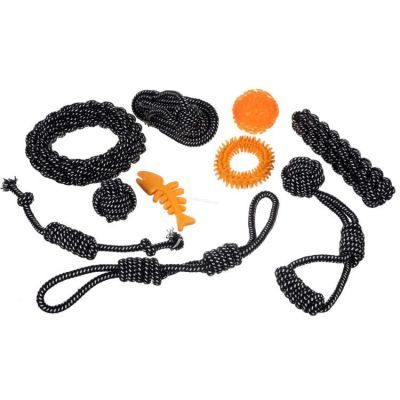 Set jucarii pentru caini - 10 buc Purlov 24388