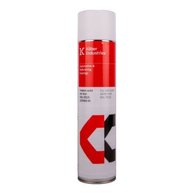Spray alb mat ral 9010 PM5SP9010M-F600ML