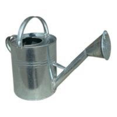 Stropitoare CRI 10l