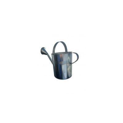 Stropitoare CRI 10l