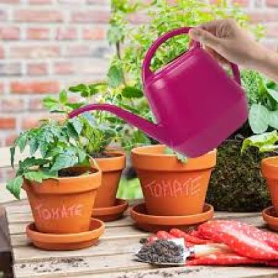 Stropitori pentru gradina si flori Lumytools
