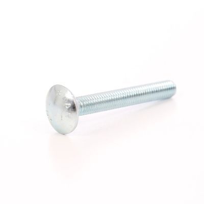 surub metric 6x100