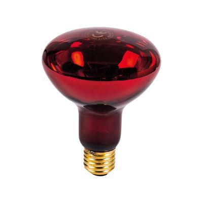 Tg BEC infrarosu R95 100W E27 rosu 41670