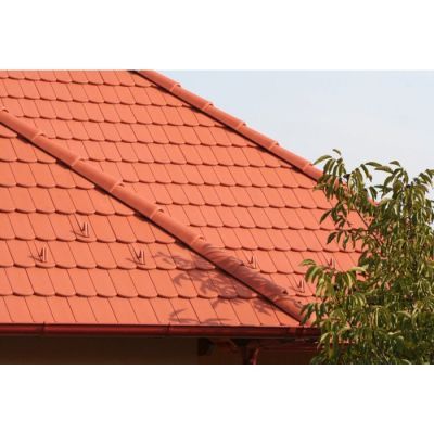 Tigla REViva LAT DR RC Protector Tigla REViva LAT DR RC Protector