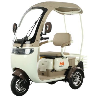 Triciclu electric persoane cabina deschisa Dotos alb/maro TRP1000CD 684282