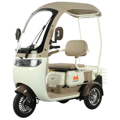 Triciclu electric persoane cabina deschisa Dotos alb/maro TRP1000CD 684282