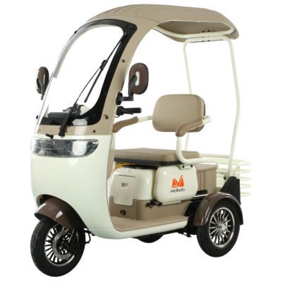 Triciclu electric persoane cabina deschisa Dotos alb/multicolor TRP1000CD 684283