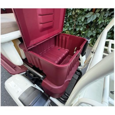 Triciclu electric persoane cabina deschisa Dotos alb/multicolor TRP1000CD 684283