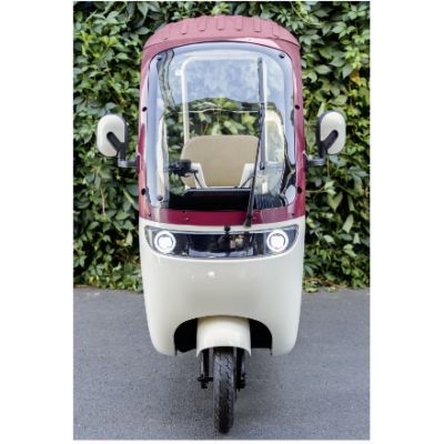 Triciclu electric persoane cabina deschisa Dotos alb/multicolor TRP1000CD 684283