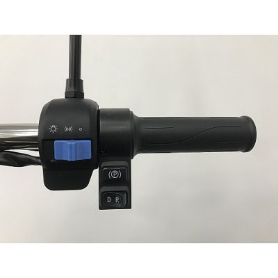 Triciclu electric RDB L-Klass4 blue L1Z9LP415RA001137