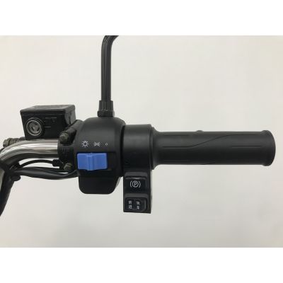 Triciclu electric RDB XL-KLASS4 green