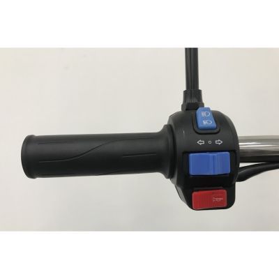 Triciclu electric RDB XL-KLASS4 green