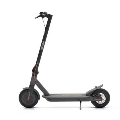 Trotineta electrica 350W 36V 7.5AH 15944