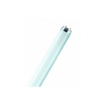 Ph TUB fluorescent TL-D 36W Snow White - El17621