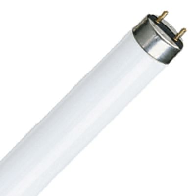 Tuburi fluorescente Philips