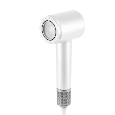 Uscator de par High-speed 1500W 3 viteze HGHSZ15