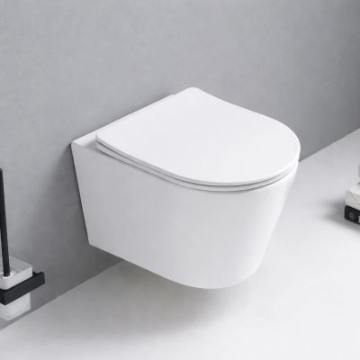Vas wc suspendat+capac 520x360x350 alb lucios