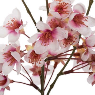 Vaza cu floare de cires 21 x 21 x 48 cm 164309