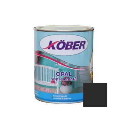 Vopsea opal negru RAL9005 V519005-c0.75l