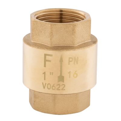 ZZM4 Supapa sens Ferro 1 1/4'' clapeta alama
