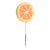 Acadele Citrus MIX 20g