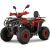 ATV Benzina RDB AY 125 Rosu