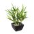 Bambus 26 Cm Inaltime Cu Oala Ceramica 167218