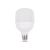 Bec LED 30W E27 6400k