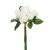 Buchet 7 Trandafiri Albi 30 Cm 110347