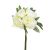 Buchet De 4 Bujori Inaltime De 30 Cm Alb 110348