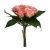 Buchet De 9 Trandafiri 24 Cm Inaltime Roz 130814