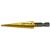 BURGHIU IN 10 TREPTE 3-12mm Hss 4241,prindere Hexagonala LT21842