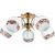 Ly Aspect 5 Ly3397