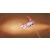 Decor 79 BROWN-HL 30/60