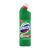 Domestos Pin 750ml