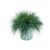 Festuca Glauca P510 H15