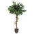 Ficus Artificial H120 Cm