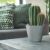 Ghiveci De Flori Gri Deschis Dare 300E Areco Beton Efect DARE300E-422U