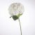 Hortensia Alba H83cm